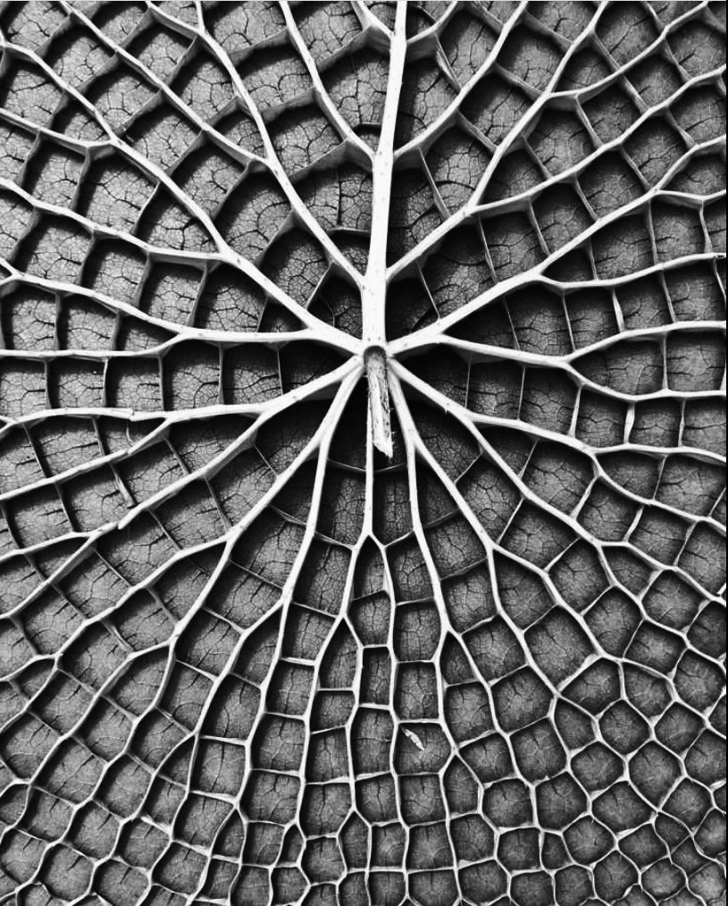 Vuilleumier Communication Office communication consultancy - Intro